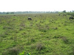 497319042008(70).JPG