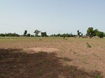 18948P1000792.JPG