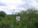 825826-shrubland-degradedb.jpg
