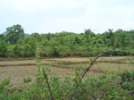 1694310052008(11).JPG