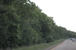 2022-06-12_15-25-20_CCDE9329-6DE8-4080-858E-56706F8C9C04.jpeg