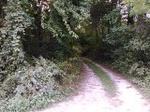 2016-09-04_17-53-31_IMG_20160904_182220.jpg