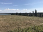 2018-09-04_12-06-28_BFD3AC0B-3C86-47A6-8C97-00B71B53B68D.jpg