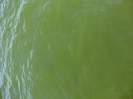 2012-09-21_14-25-45_CIMG3160.JPG