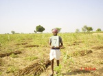 6455gt007-cropland-1.jpg