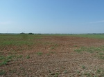 40380P1070658.JPG