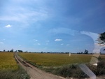 56164CIMG6868.JPG