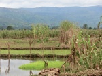 2012-09-07_10-19-58_CIMG6724.JPG