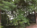 2017-09-11_22-59-13_E7532327-0B19-4F15-984A-0A28614EADB7.jpg