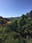 2017-07-02_11-53-35_A47FEAB4-E013-4103-8D8C-806CE03FFD70.jpg