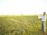 6478gt019-cropland-2.jpg