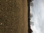 2017-02-22_12-01-05_Feb17-002-OK.jpg