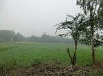 40205CIMG9102.JPG