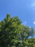 2020-08-19_16-19-33_2020-8-19-16-17-44.jpg