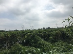 2017-09-12_11-08-30_7EBCFBDE-2E02-438C-B4A2-91CAA3769650.jpg