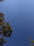 2020-10-05_15-49-45_2020-10-5-15-47-10.jpg