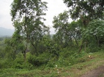 16431IMG_5216.JPG