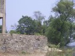 1547R0015223_small.jpg