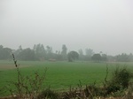 40076CIMG9139.JPG