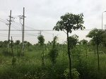 2017-09-10_06-58-09_9EFC9649-97BA-4688-B55B-94ABB83B390D.jpg