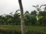 2017-09-12_10-24-42_7B34478C-4DE6-4C4A-AA08-E425A8E6D0B0.jpg
