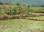 2012-09-07_10-20-02_CIMG6725.JPG