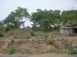 3870RIMG0174.JPG