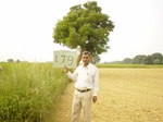 6742gt179-cropland-1.jpg