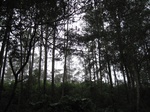 15024IMG_3837.JPG