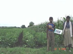 72880268c-irrigated-supplemental-lift-irrigation-mixedcrop-cotton-dominant-maize-chilli.jpg