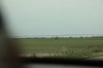 2022-06-11_16-13-16_24115368-D7B6-4819-BC99-B0FF61B7AF56.jpeg