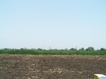 509422042008(8).JPG
