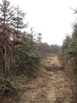 8488IMG_0313.JPG
