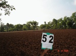 6282052c-irrigated-supplemental-groundwater-rice-kasava-turmeric.jpg