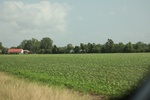 2022-06-11_15-46-23_5AEE77F8-87BF-4E7E-893E-09301B52C5CC.jpeg