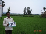 132470347b-rainfed-agriculture-rice.gif