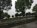 2017-09-10_08-37-33_5A852931-FA5D-4DAC-A37B-9EC429EA1224.jpg