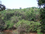 502120042008(46).JPG
