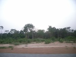 4086RIMG0391.JPG