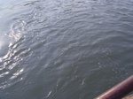 2576 152.jpg