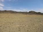 37155CIMG0952.JPG