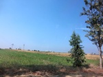 42290CIMG9575.JPG