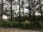 2017-09-10_20-40-23_A17EEA52-51EF-400C-B0B9-C96049E4150A.jpg