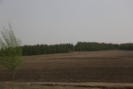 2017-05-12_17-07-59_2017-05-04 23.19.49.jpg