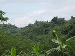 14056IMG_4382.JPG