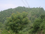 2012-09-08_20-00-41_RIMG0043.JPG