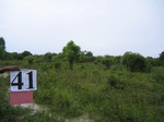 1049141-cropland-chena-abandoned-a.gif