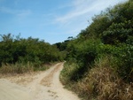 2012-10-22_03-12-26_DSCN2187.JPG