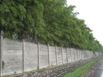 15639IMG_4711.JPG