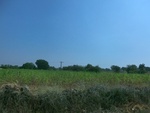 41170CIMG8007.JPG